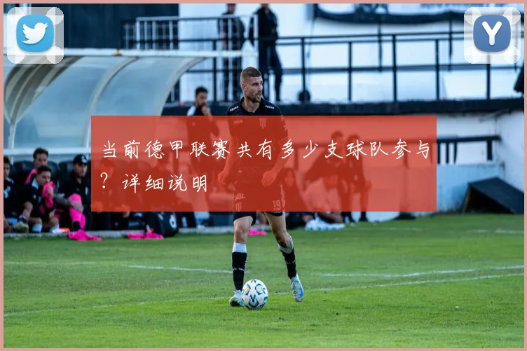 当前德甲联赛共有多少支球队参与？详细说明