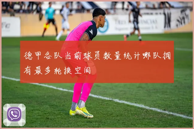 德甲各队当前球员数量统计哪队拥有最多轮换空间